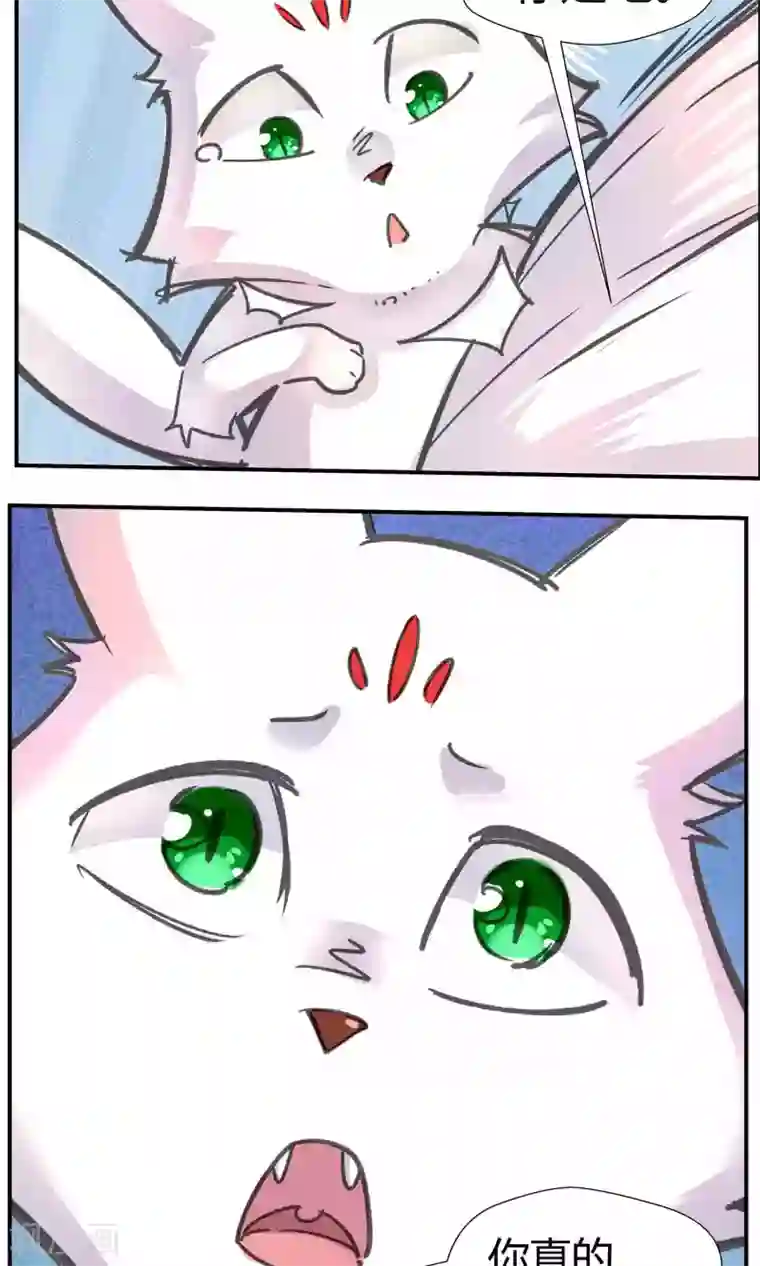 我和反派大神私奔了第82话