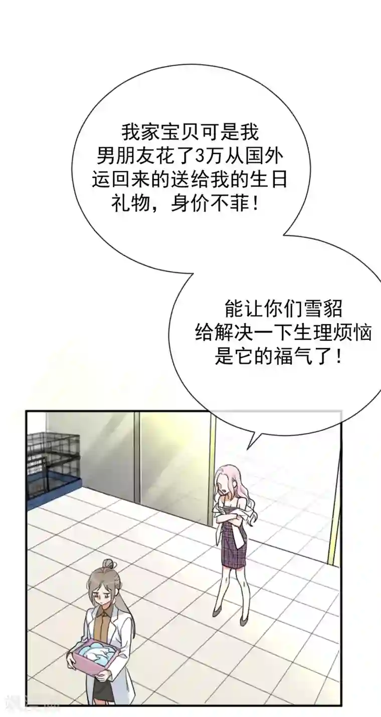 宠物情缘第1话 请问你能交配吗？