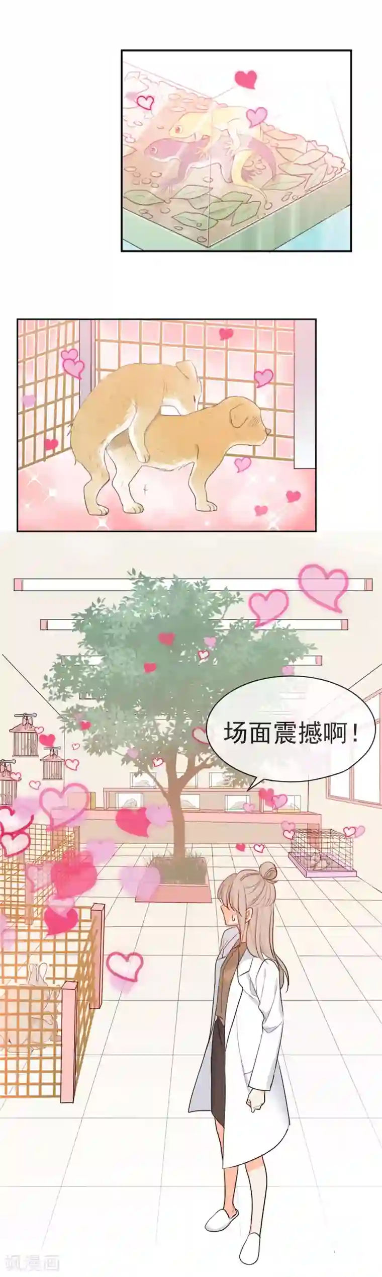 巴掌抽打双乳第1话 请问你能交配吗？