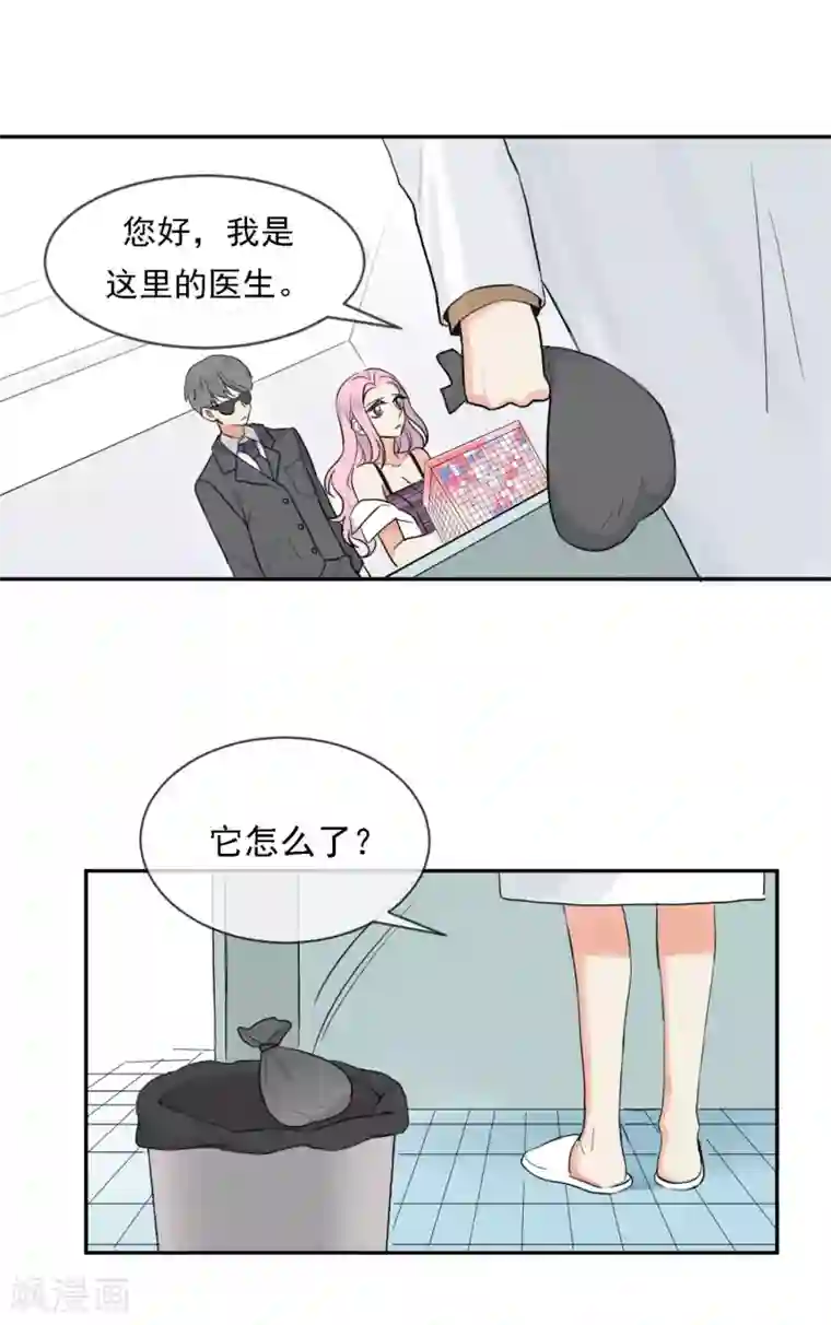 巴掌抽打双乳第1话 请问你能交配吗？