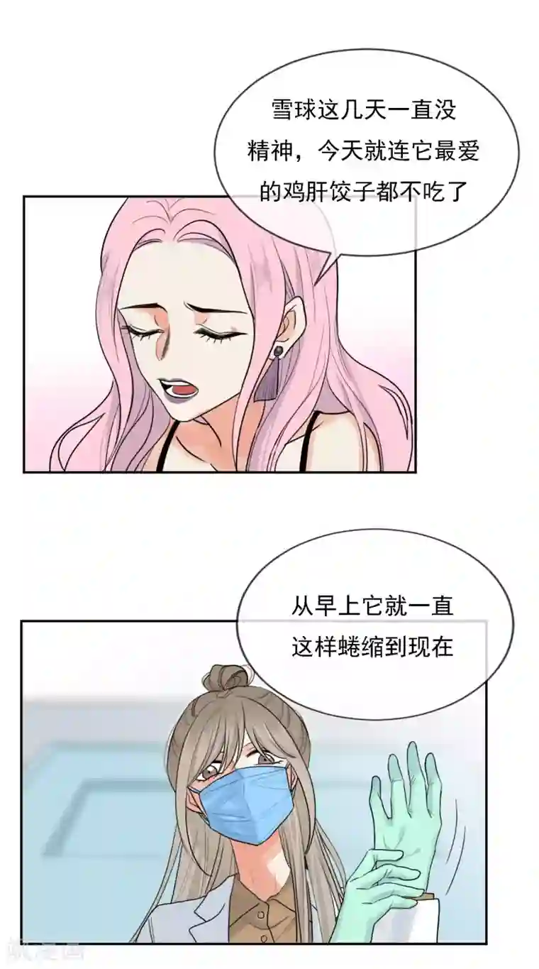 巴掌抽打双乳第1话 请问你能交配吗？