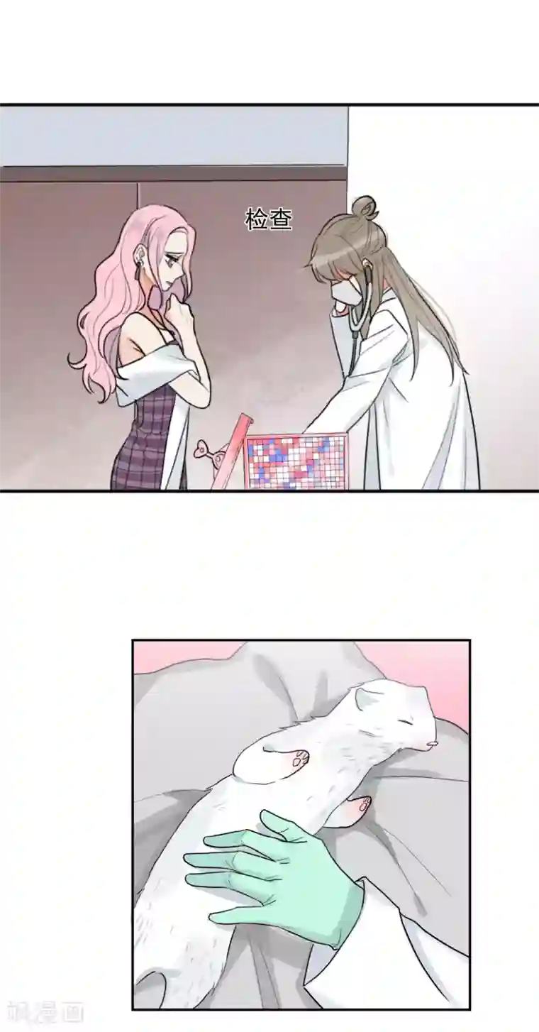 巴掌抽打双乳第1话 请问你能交配吗？
