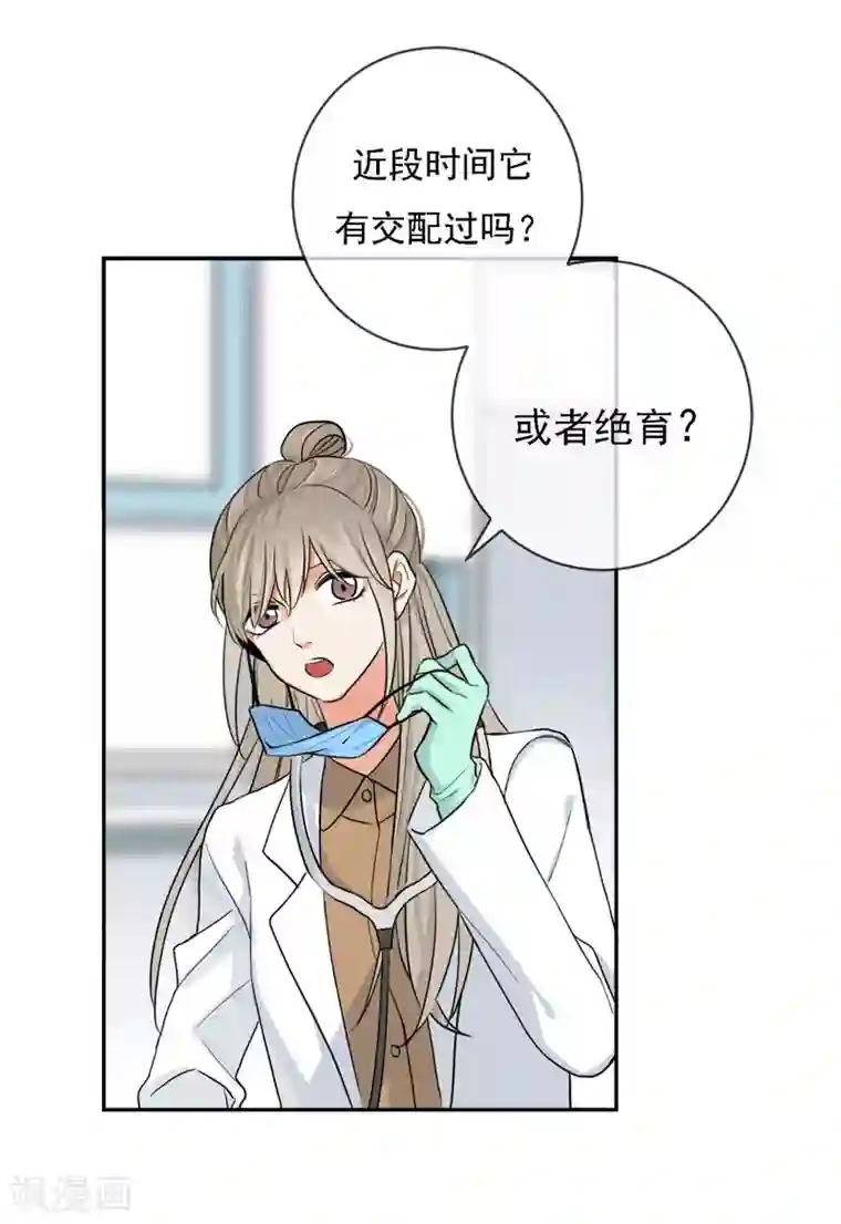 巴掌抽打双乳第1话 请问你能交配吗？