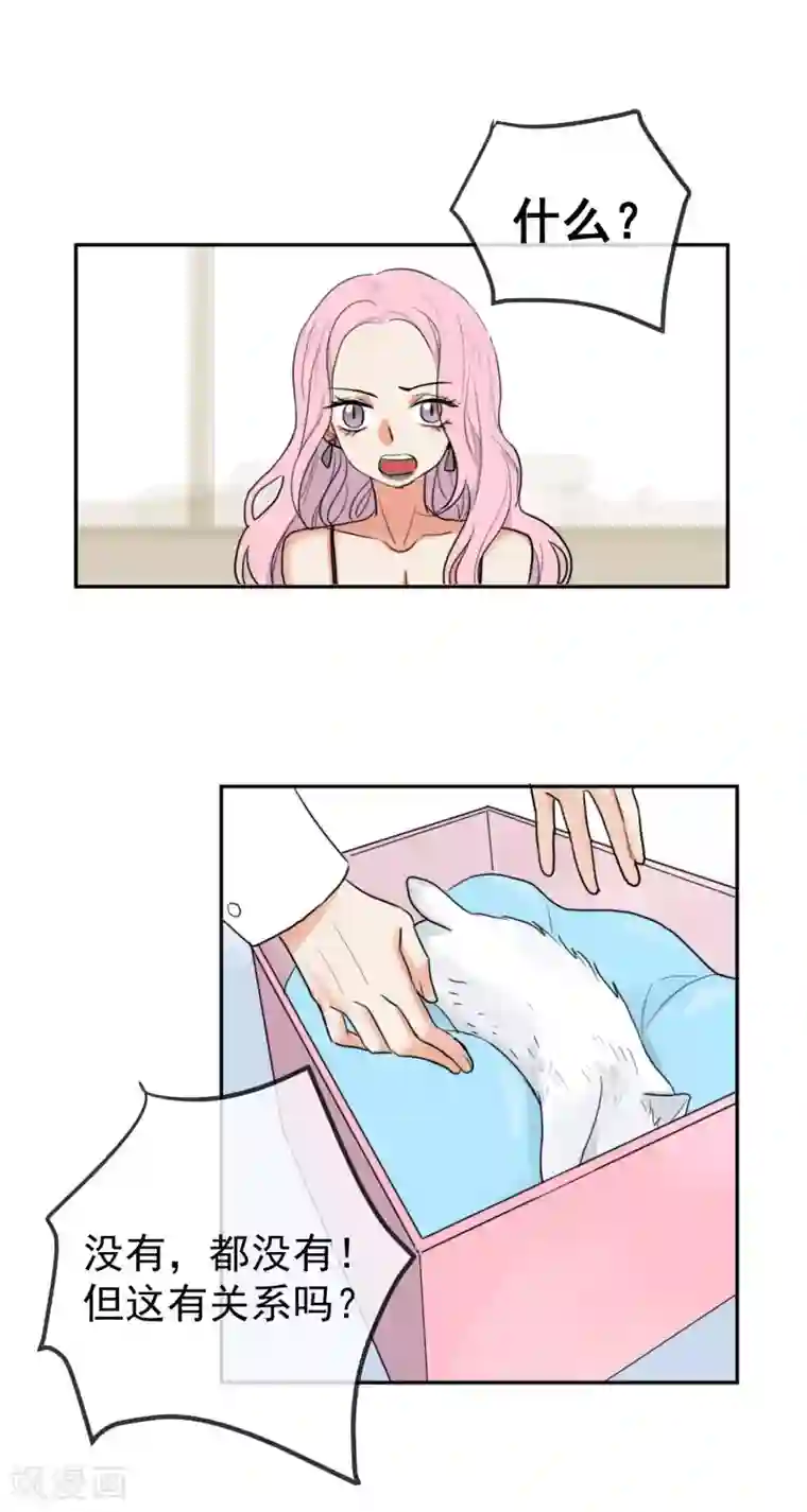 巴掌抽打双乳第1话 请问你能交配吗？