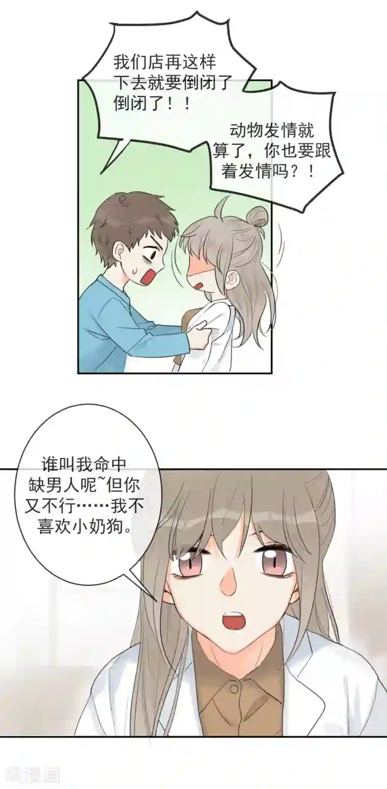 宠物情缘第2话 荷尔蒙的幻想