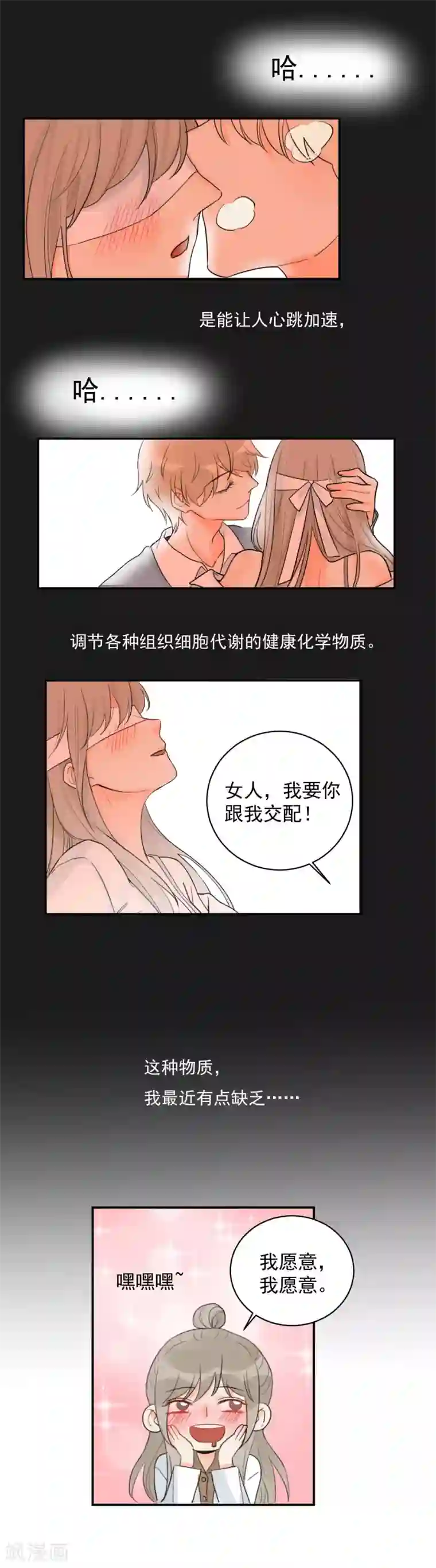 宠物情缘第2话 荷尔蒙的幻想