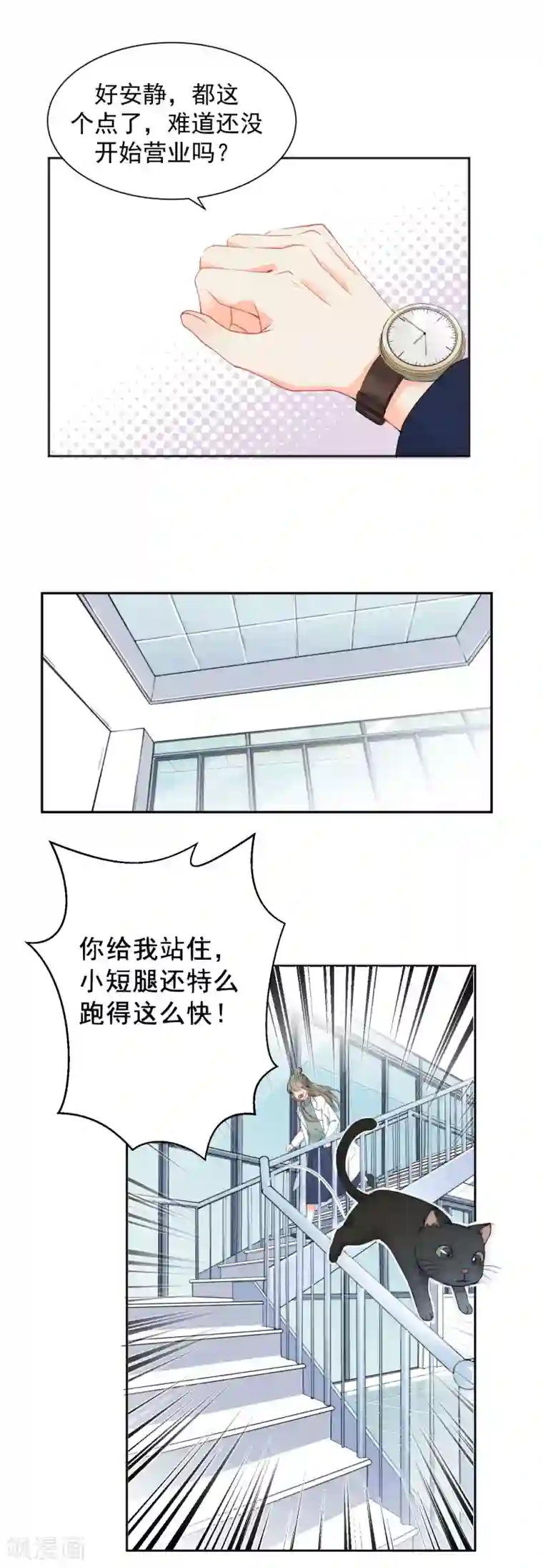 宠物情缘第4话 被打绝育针？！