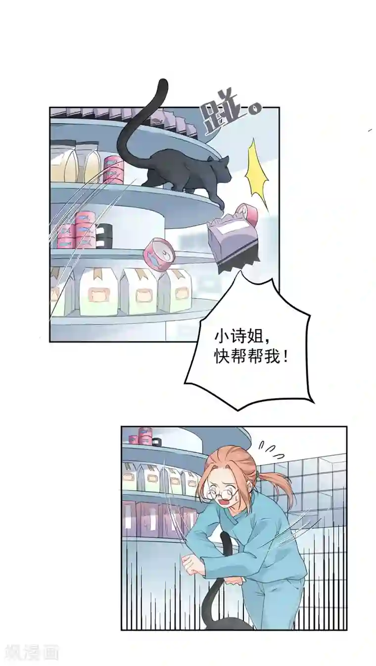 宠物情缘第4话 被打绝育针？！