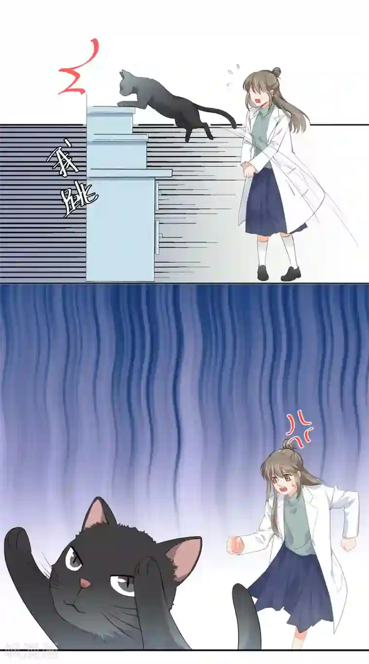 宠物情缘第4话 被打绝育针？！