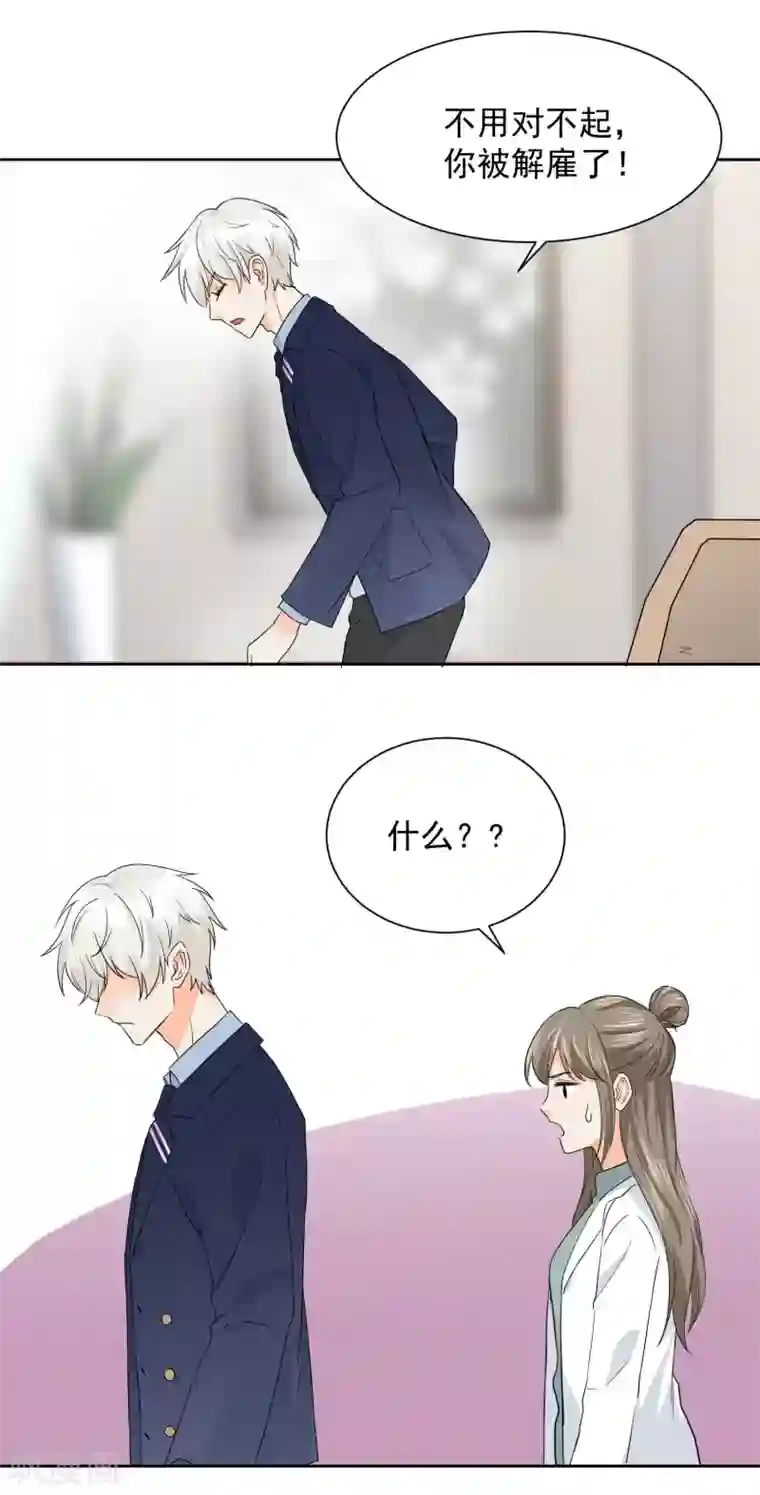 宠物情缘第5话 你跑我才追的！