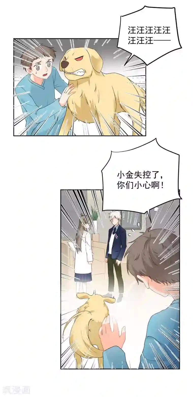 宠物情缘第5话 你跑我才追的！