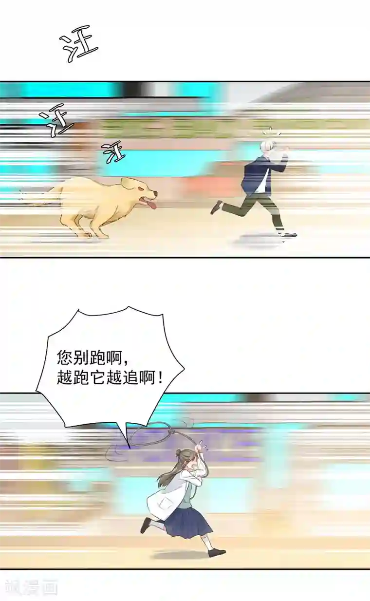 宠物情缘第5话 你跑我才追的！