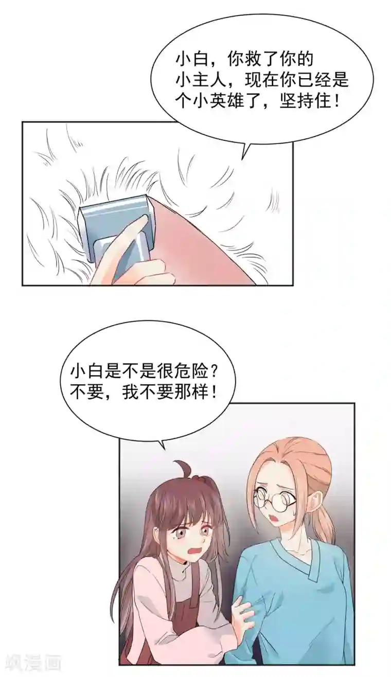 宠物情缘第7话 你让我炫目了！