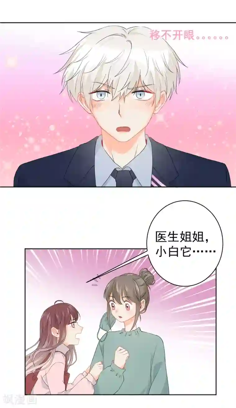 宠物情缘第7话 你让我炫目了！