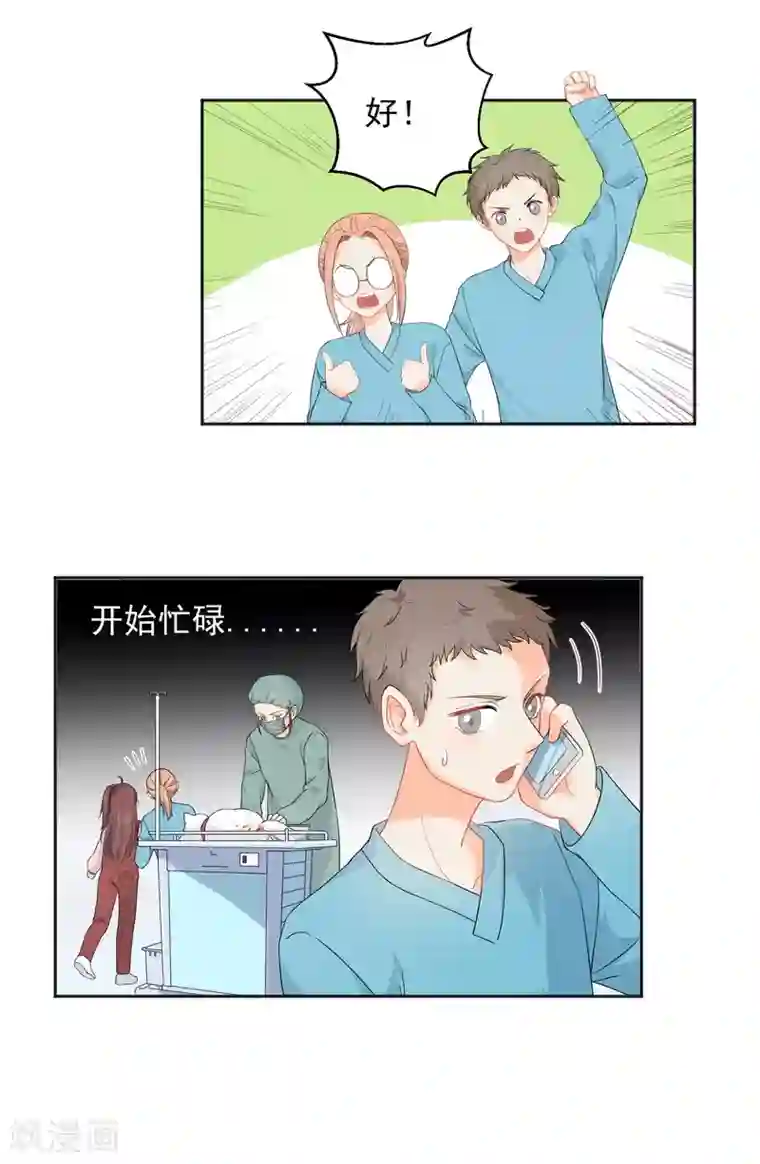 宠物情缘第7话 你让我炫目了！