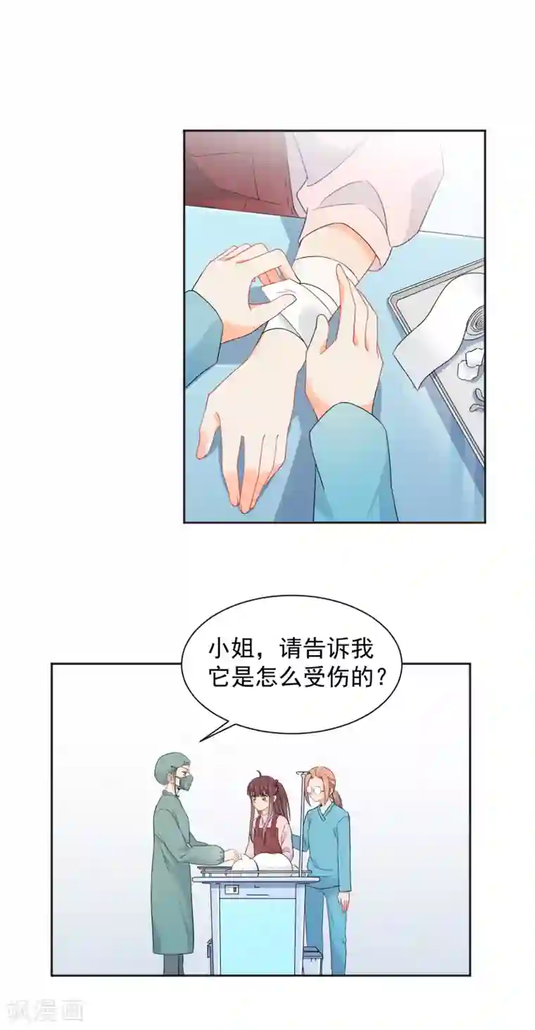 宠物情缘第7话 你让我炫目了！