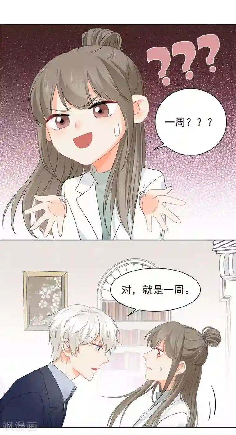 宠物情缘第8话 第二职业