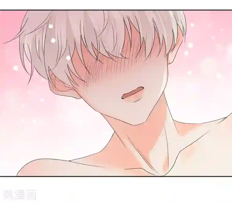 宠物情缘第8话 第二职业