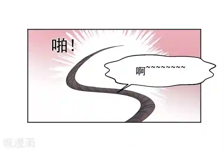 宠物情缘第8话 第二职业