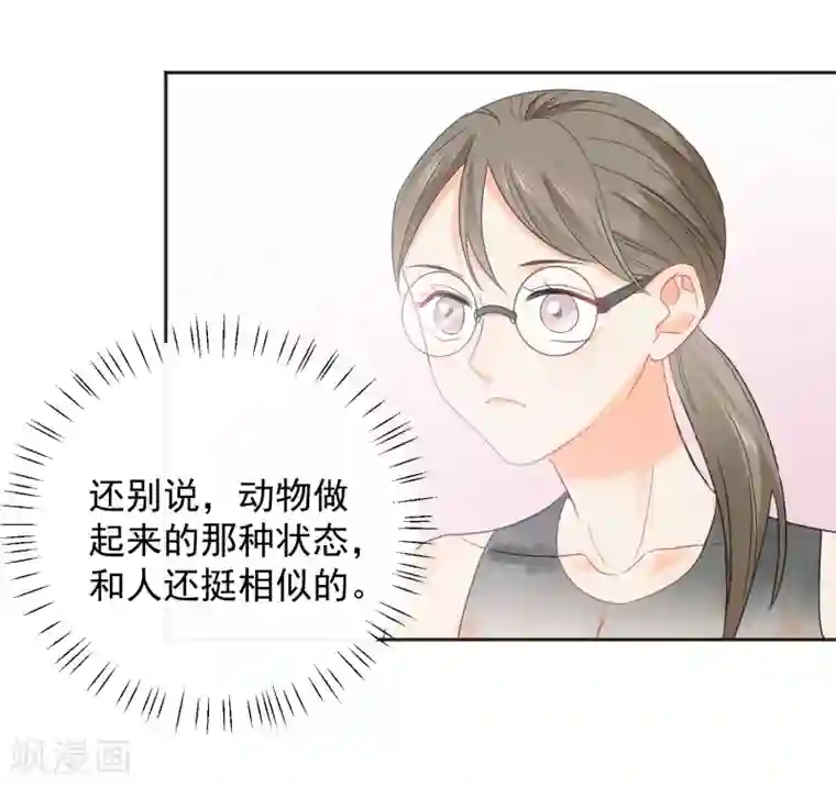 宠物情缘第8话 第二职业