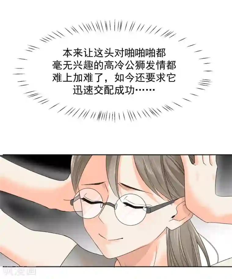 宠物情缘第8话 第二职业