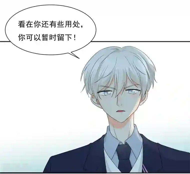 宠物情缘第8话 第二职业