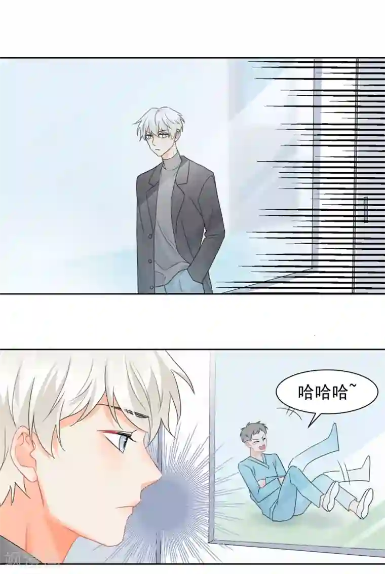 宠物情缘第10话 狮子还是病猫？