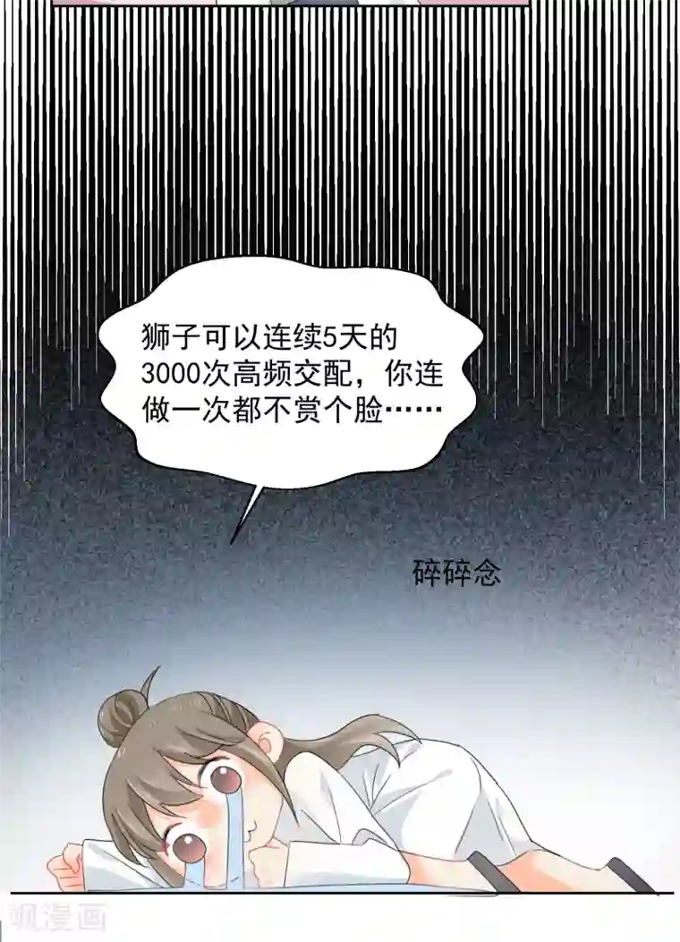 宠物情缘第10话 狮子还是病猫？