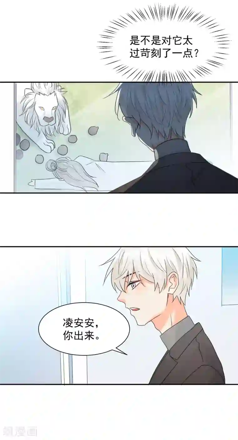 宠物情缘第10话 狮子还是病猫？