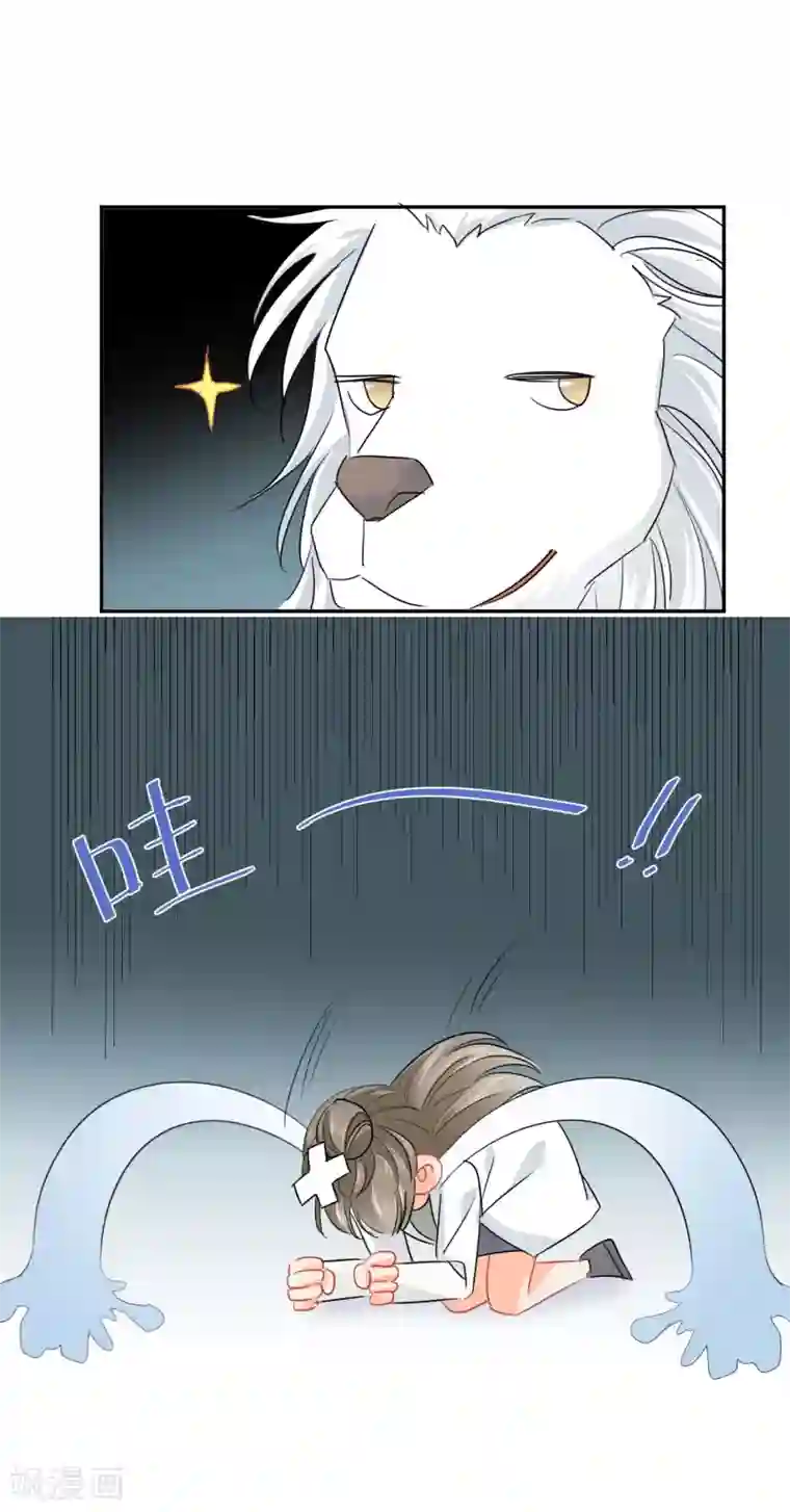 宠物情缘第10话 狮子还是病猫？