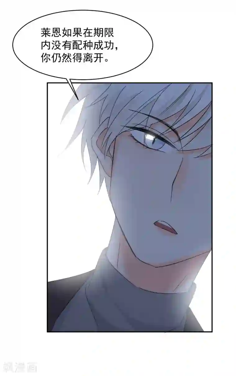 宠物情缘第11话 感性VS兽性