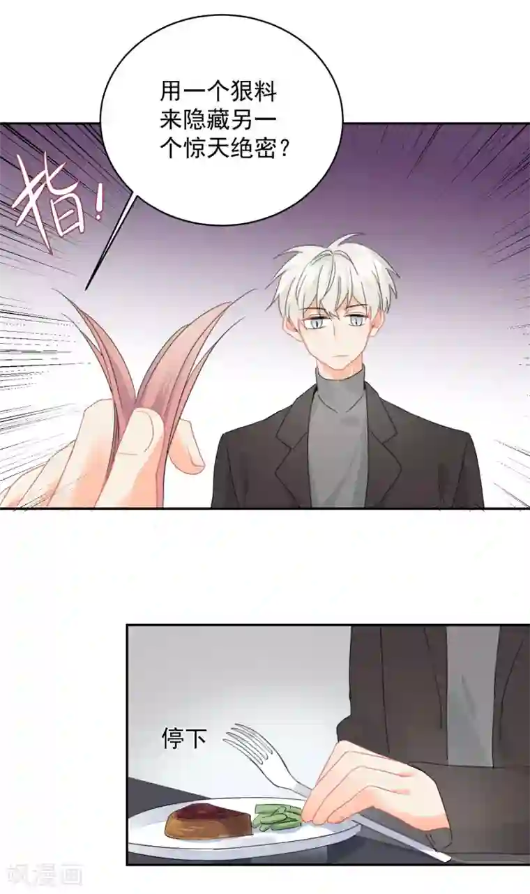 宠物情缘第12话 基友的价值