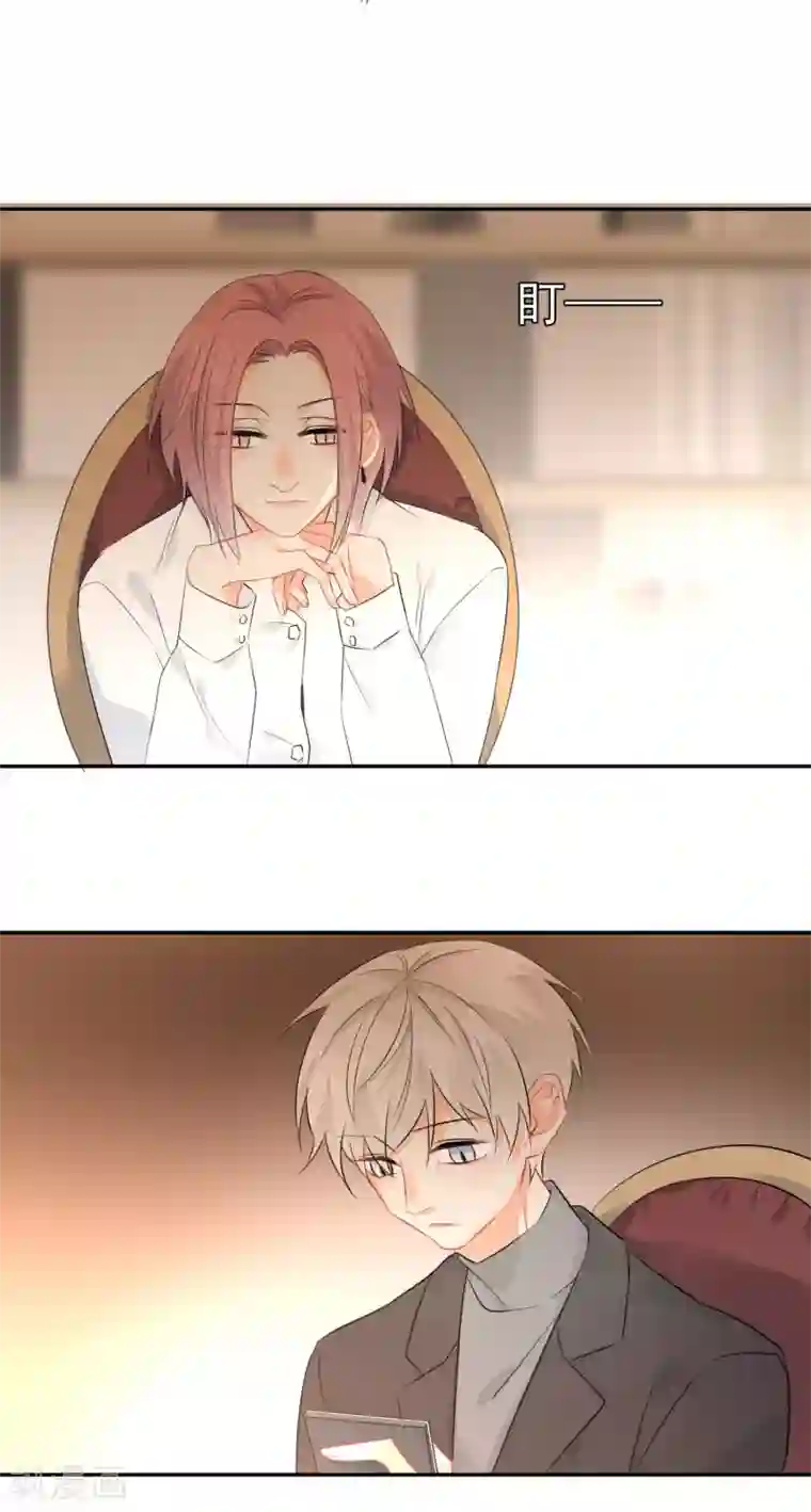 宠物情缘第12话 基友的价值