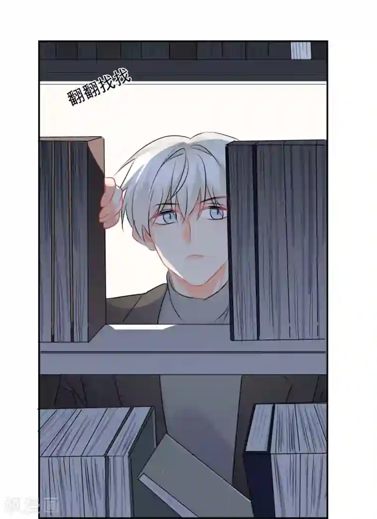 宠物情缘第12话 基友的价值