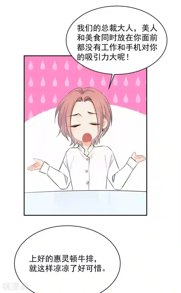 宠物情缘第12话 基友的价值