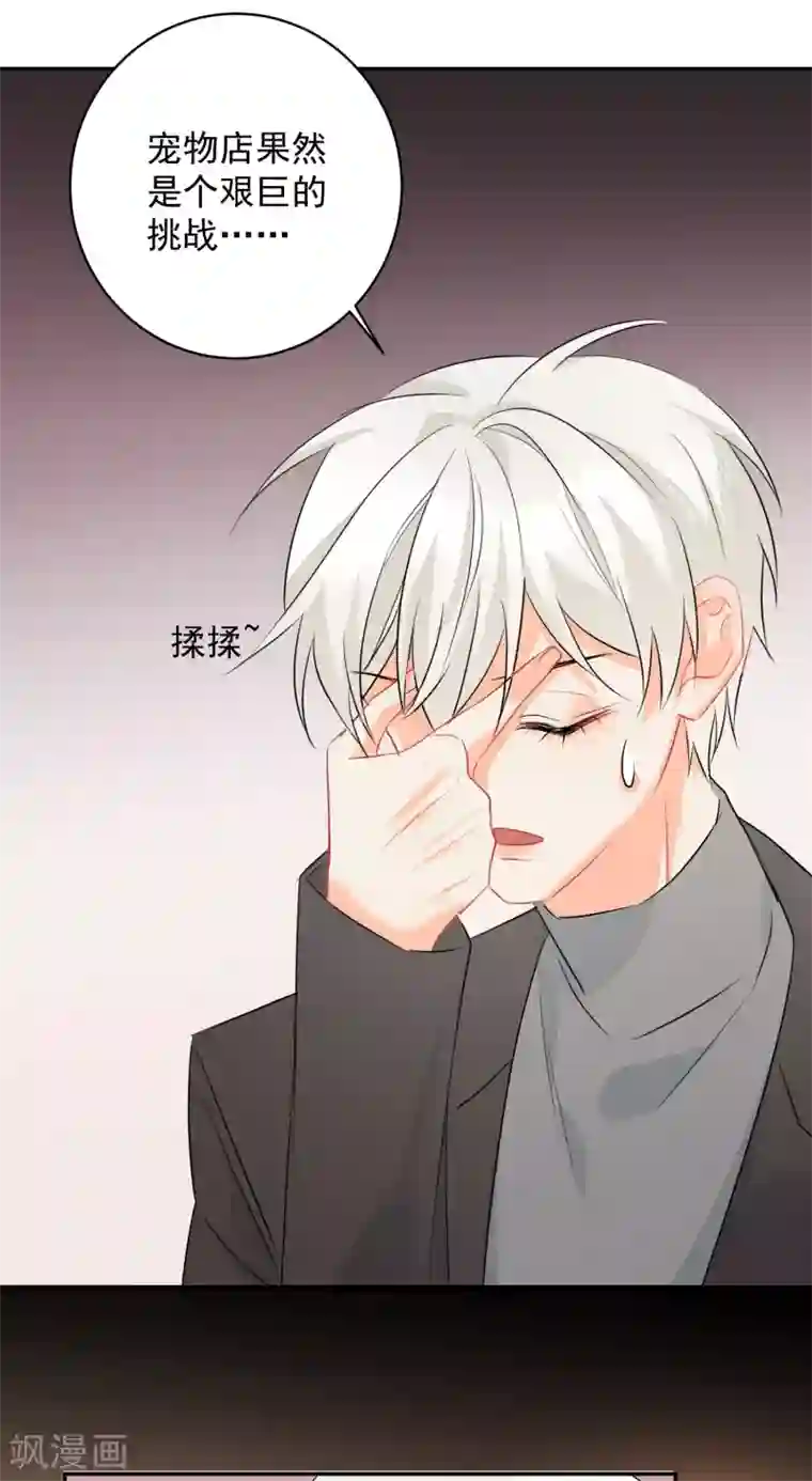 宠物情缘第12话 基友的价值