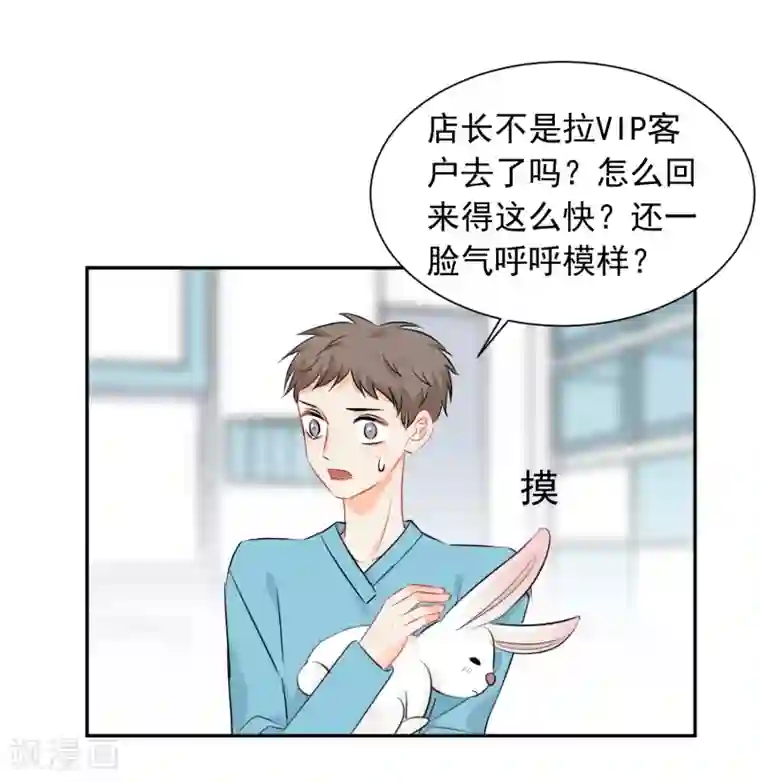 宠物情缘第13话 更年期的总裁