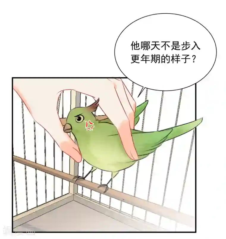 宠物情缘第13话 更年期的总裁