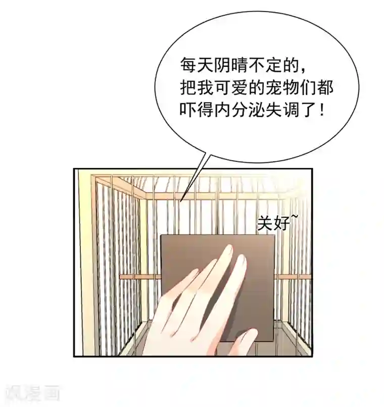 宠物情缘第13话 更年期的总裁