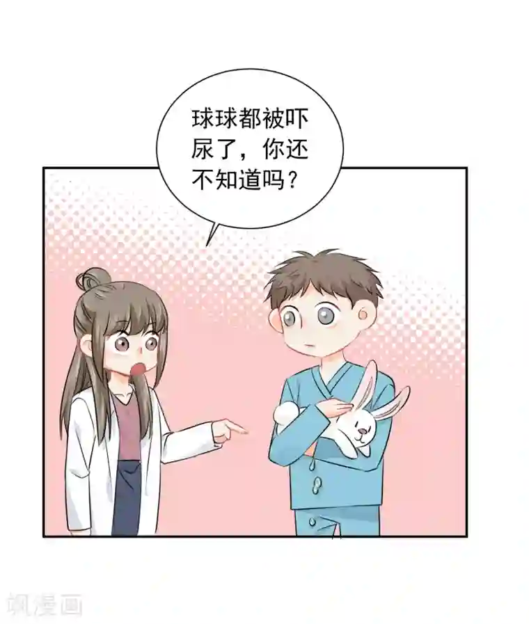 宠物情缘第13话 更年期的总裁