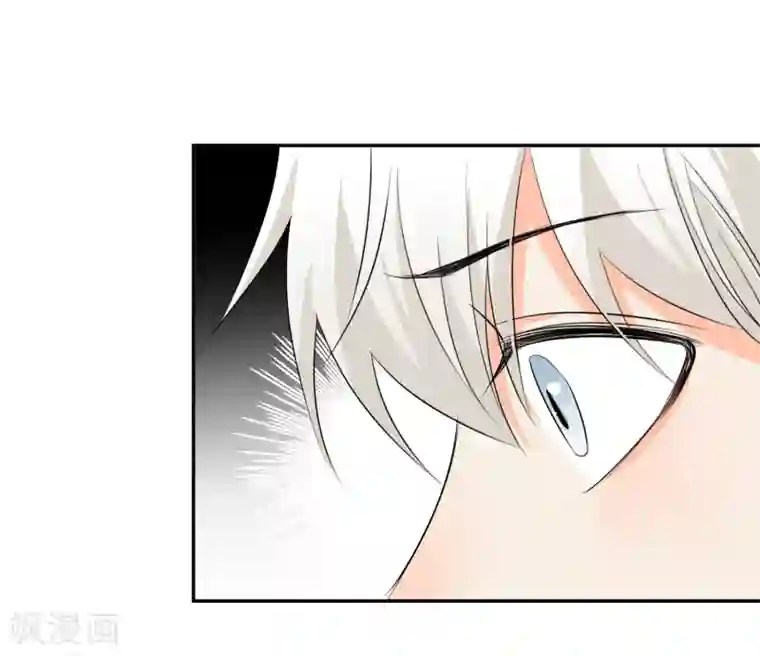 宠物情缘第13话 更年期的总裁