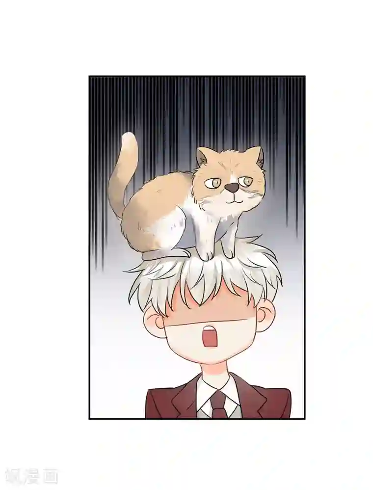 宠物情缘第14话 壁咚你！