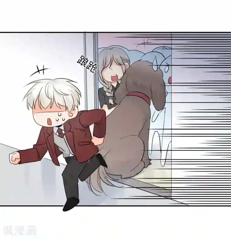 宠物情缘第14话 壁咚你！