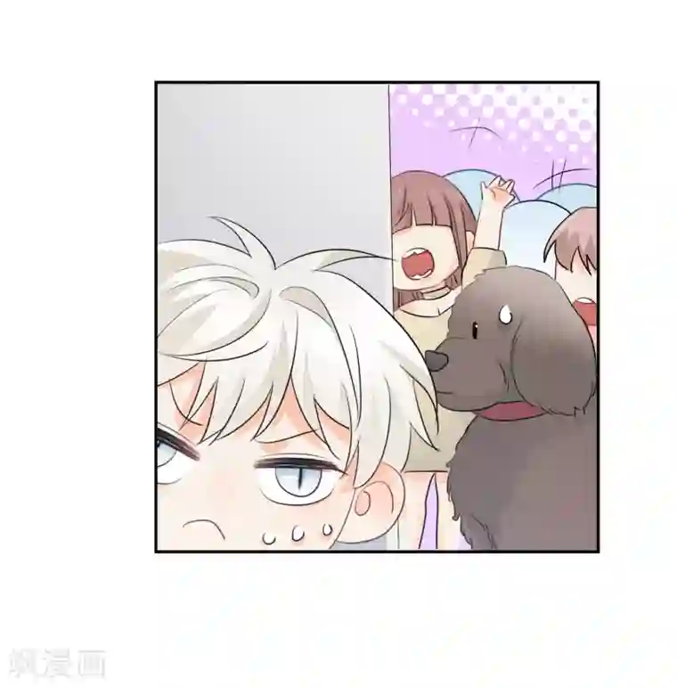 宠物情缘第14话 壁咚你！