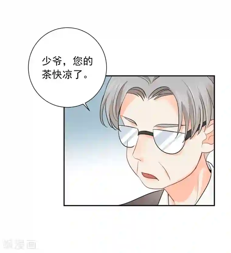 宠物情缘第14话 壁咚你！