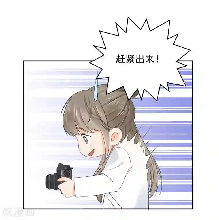 宠物情缘第14话 壁咚你！