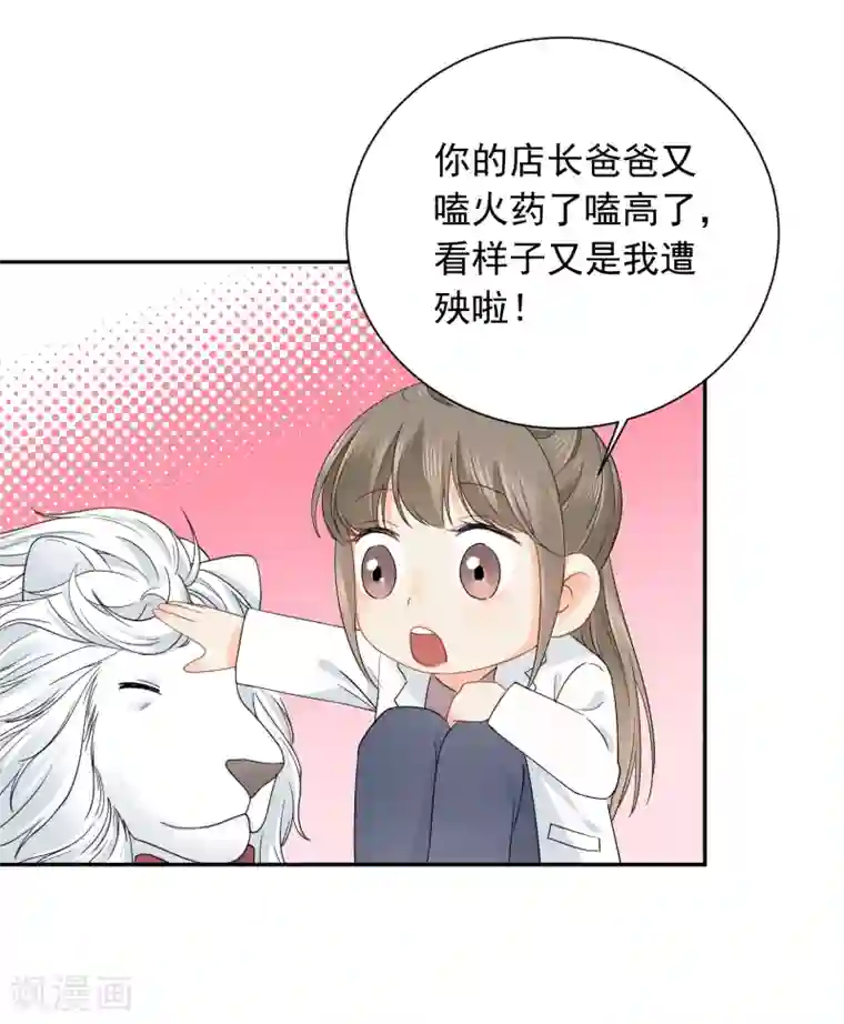 宠物情缘第14话 壁咚你！