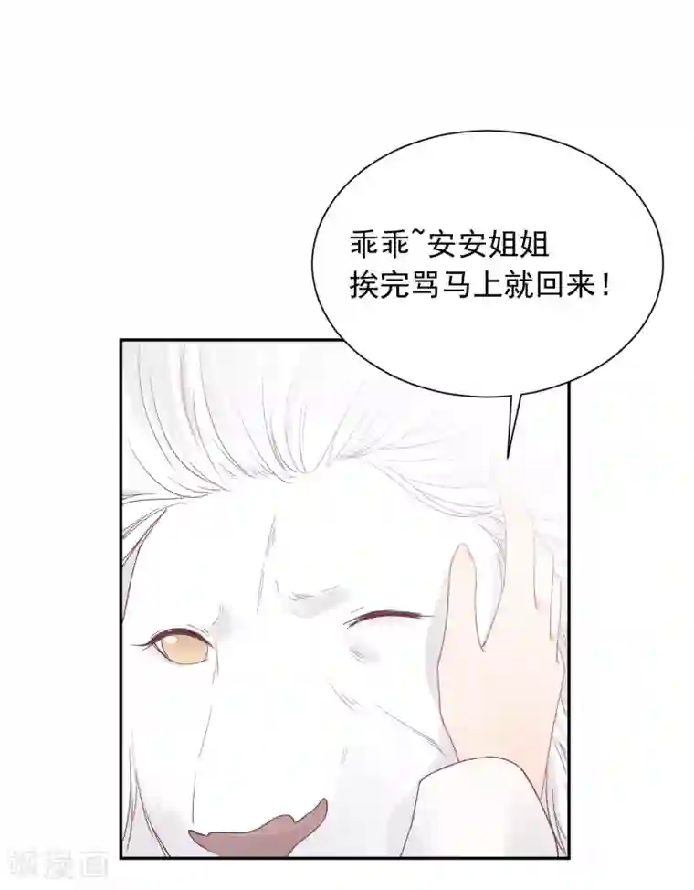 宠物情缘第14话 壁咚你！