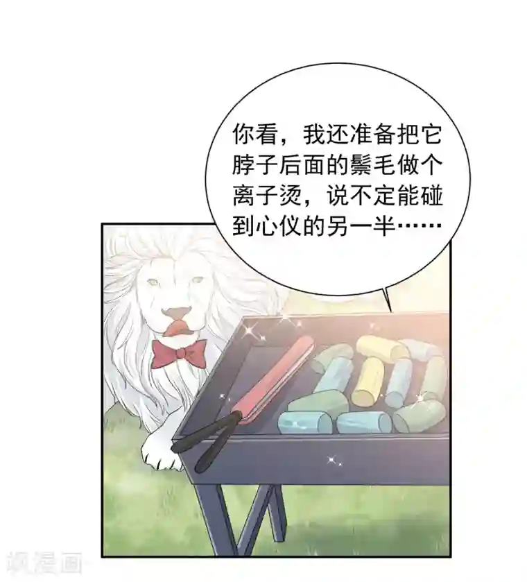 宠物情缘第14话 壁咚你！