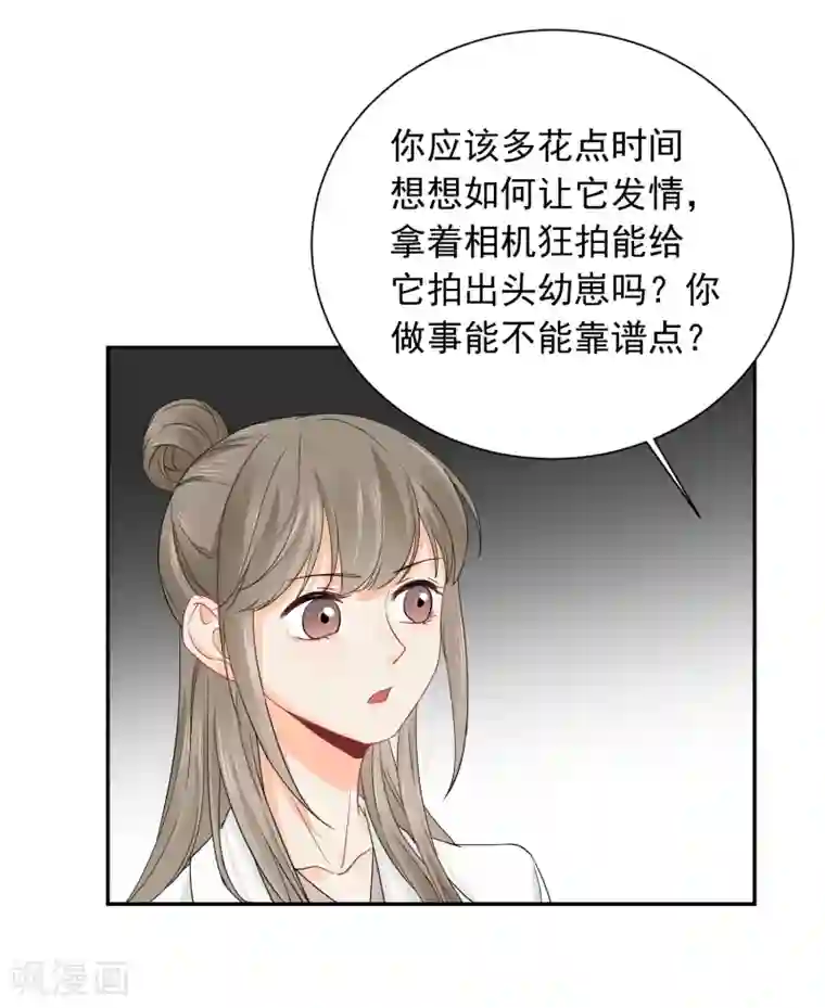 宠物情缘第14话 壁咚你！